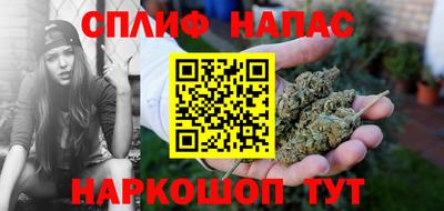 индика Будённовск
