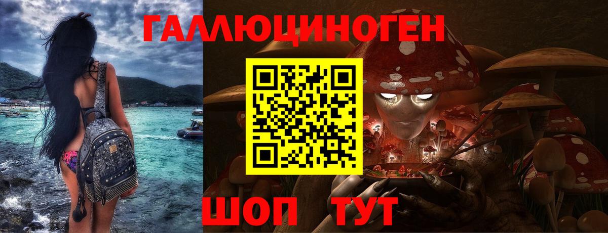 Ялта  Псилоцибиновые грибы Psilocybe  Псилоцибиновые грибы Psilocybe  Вход с VPN 